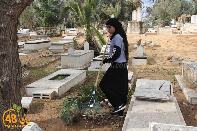 taso mashro3 tandaef (14).JPG